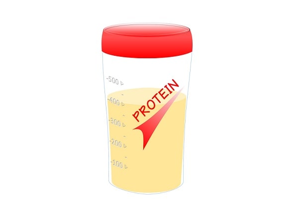 プロテインシェイカー