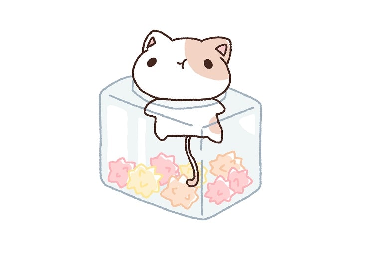 ケース入りお菓子