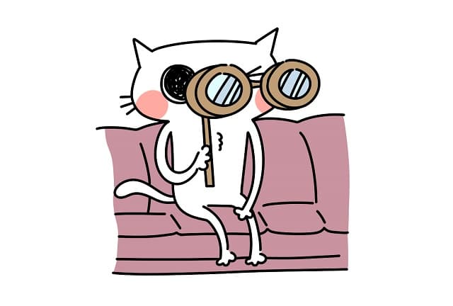 双眼鏡、オペラグラス、コンサート、観賞